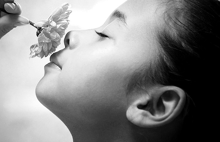 批发商城便宜的ddos攻击工具